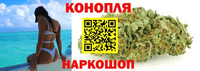 дурь Кингисепп