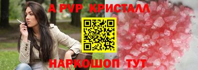 дурь Кингисепп